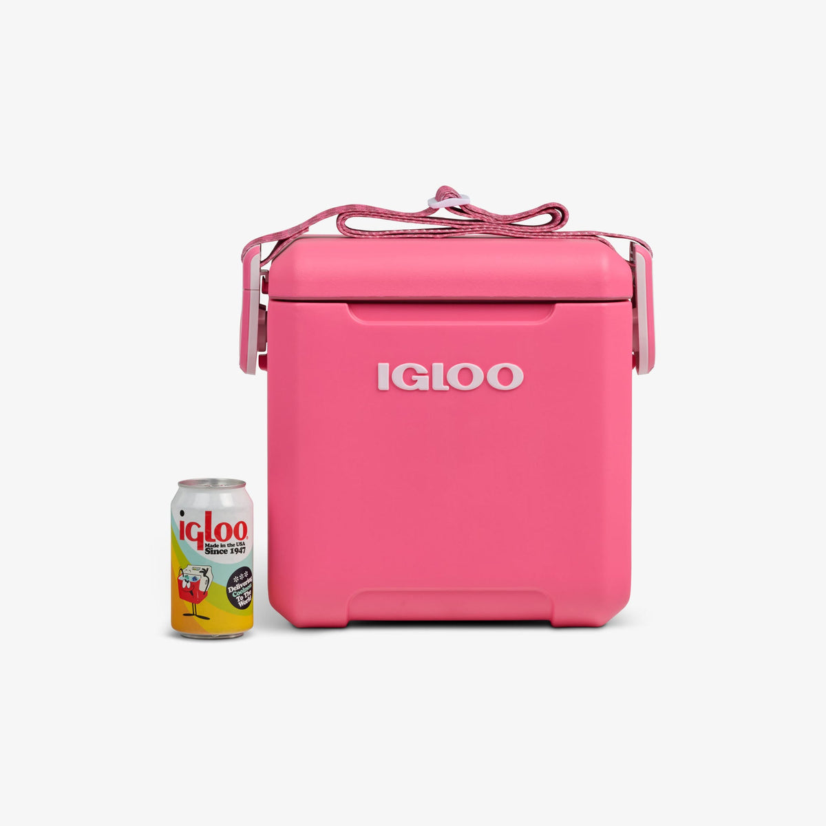 tag-along-too-remix-cooler-l9 00033199-P_861a5cd2-f15c-4217-a471-e33cc3890d9e.jpg