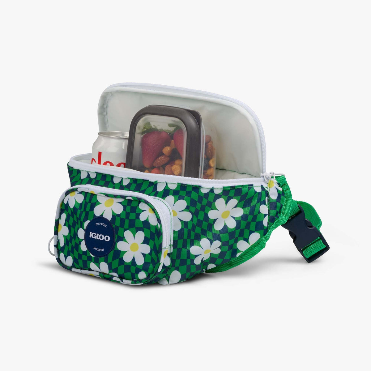 retro-fanny-pack-v8 00067206-P1.jpg