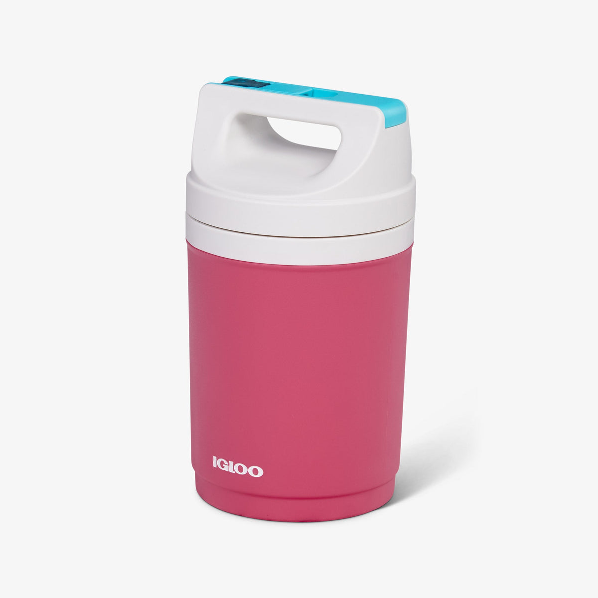 retro-playmate-half-gallon-jug-a5 00070862-H1.jpg